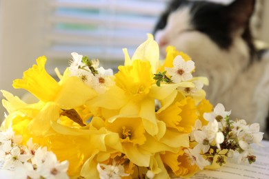 Photo of Beautiful bouquet of yellow daffodils and fluffy cat near window, closeup