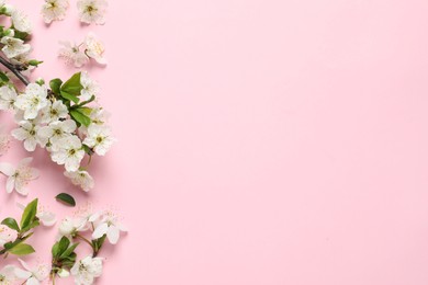 Photo of Blossoming spring tree branch and flowers as border on pink background, flat lay. Space for text