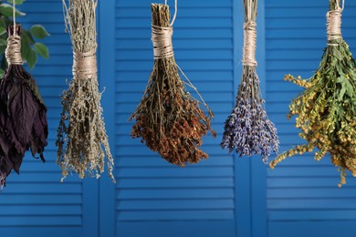 Photo of Bunches of different dry herbs hanging on blue wooden background