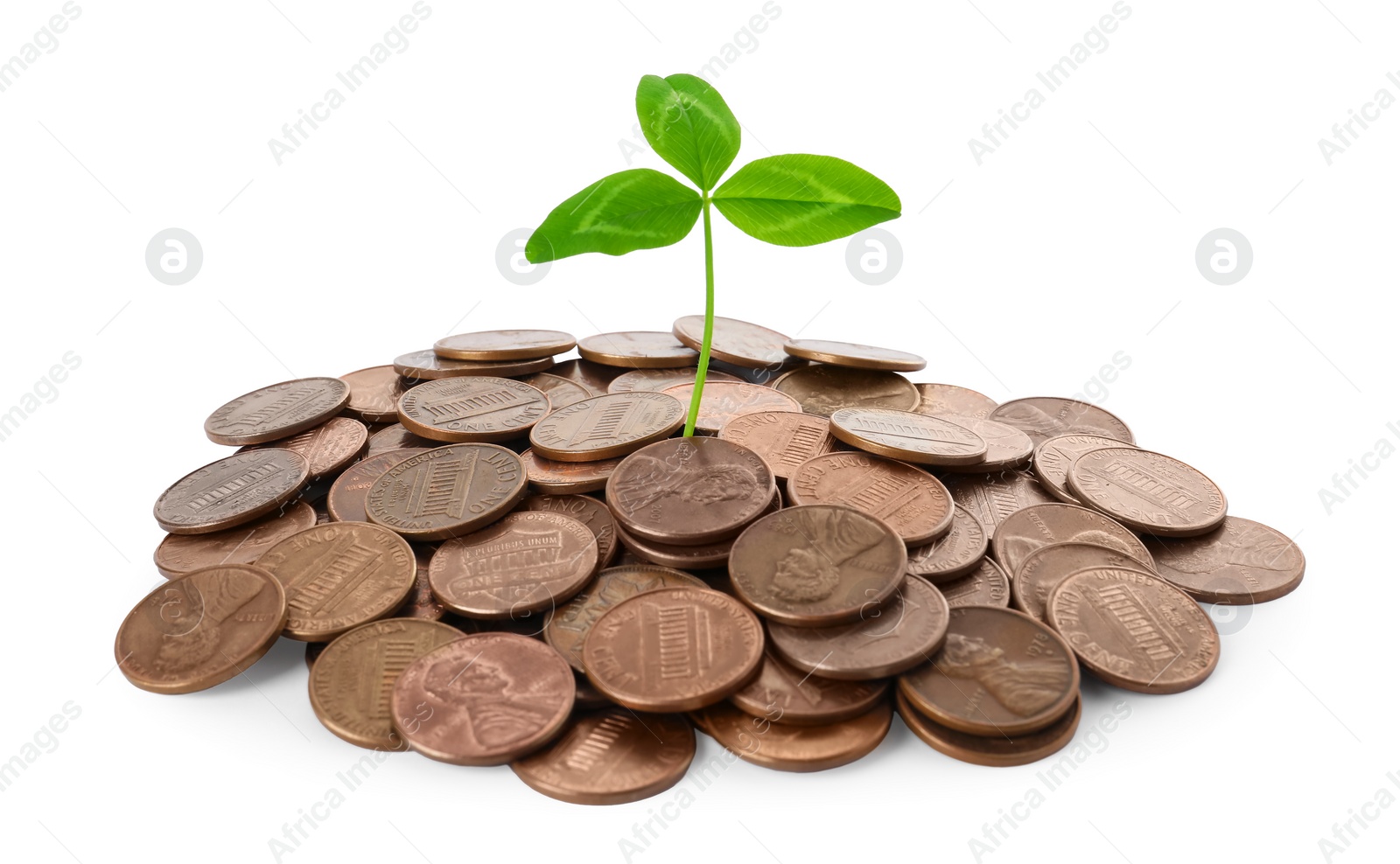 Photo of Heap of coins and green sprout isolated on white