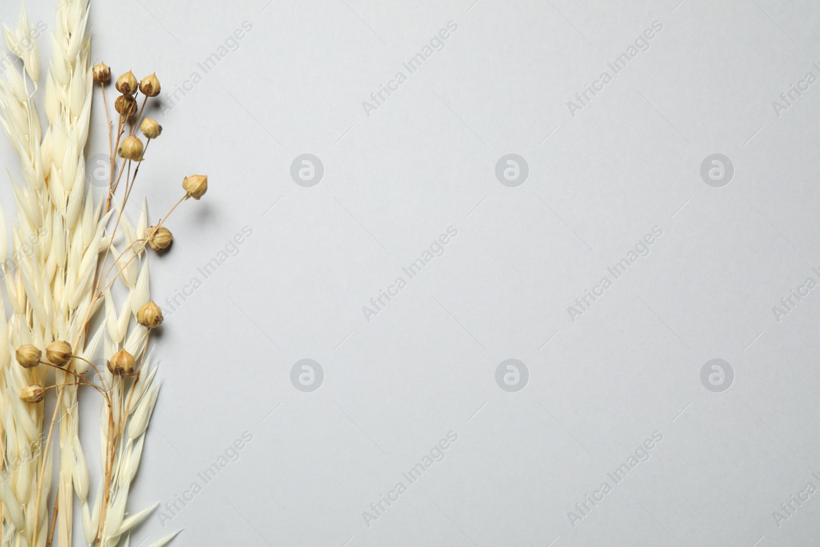 Photo of Bouquet of dried flowers on light grey background, flat lay. Space for text
