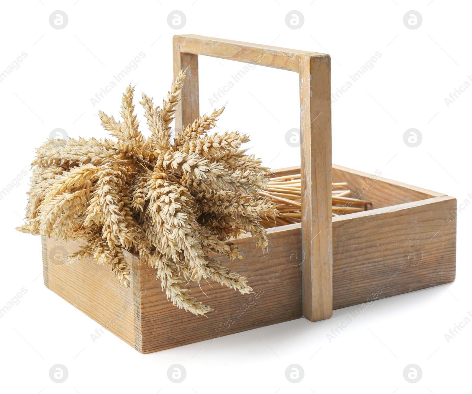 Photo of Bunch of wheat in wooden crate isolated on white