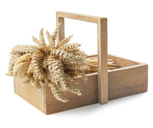 Bunch of wheat in wooden crate isolated on white