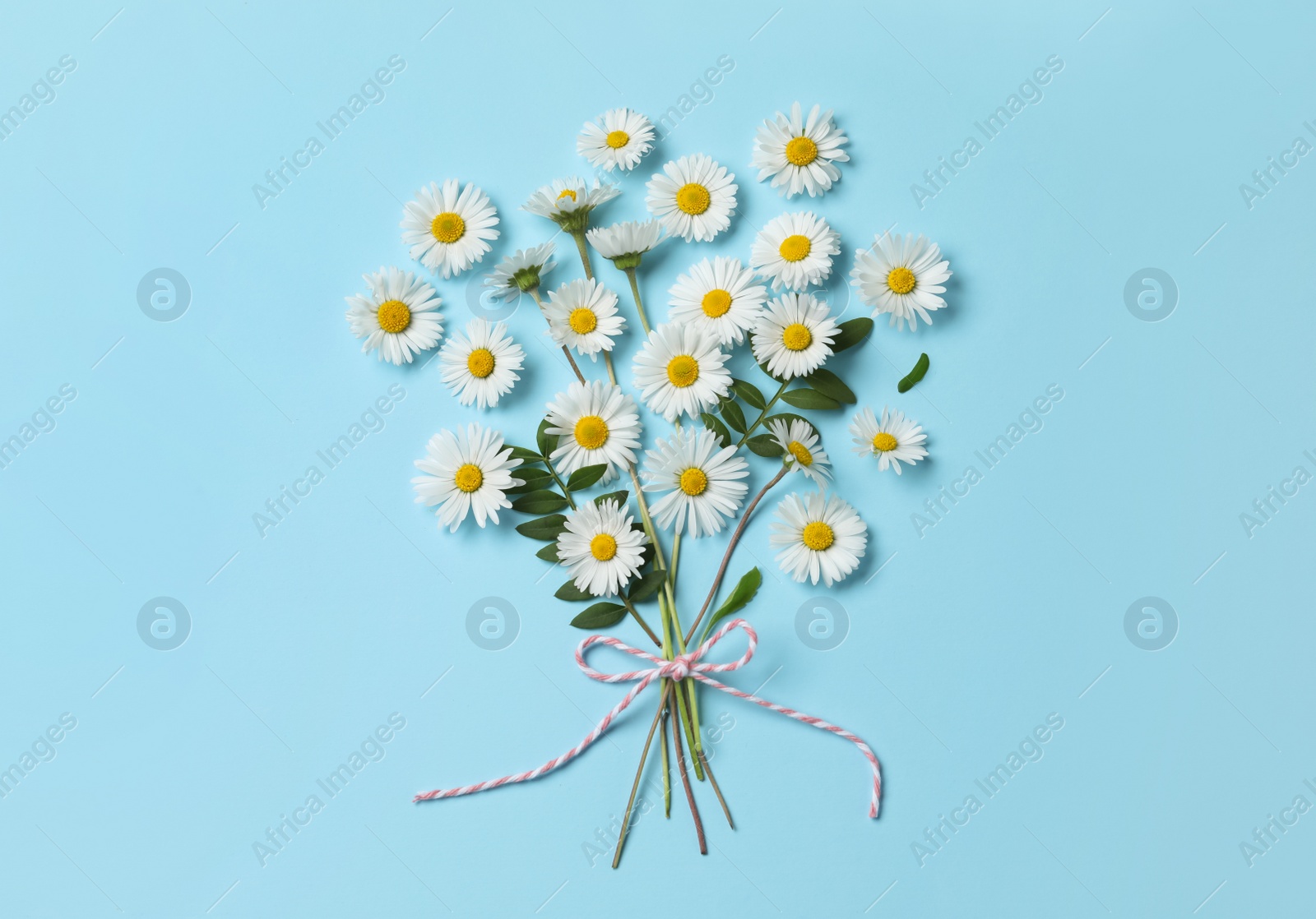 Photo of Flat lay composition with daisy flowers and leaves on light blue background