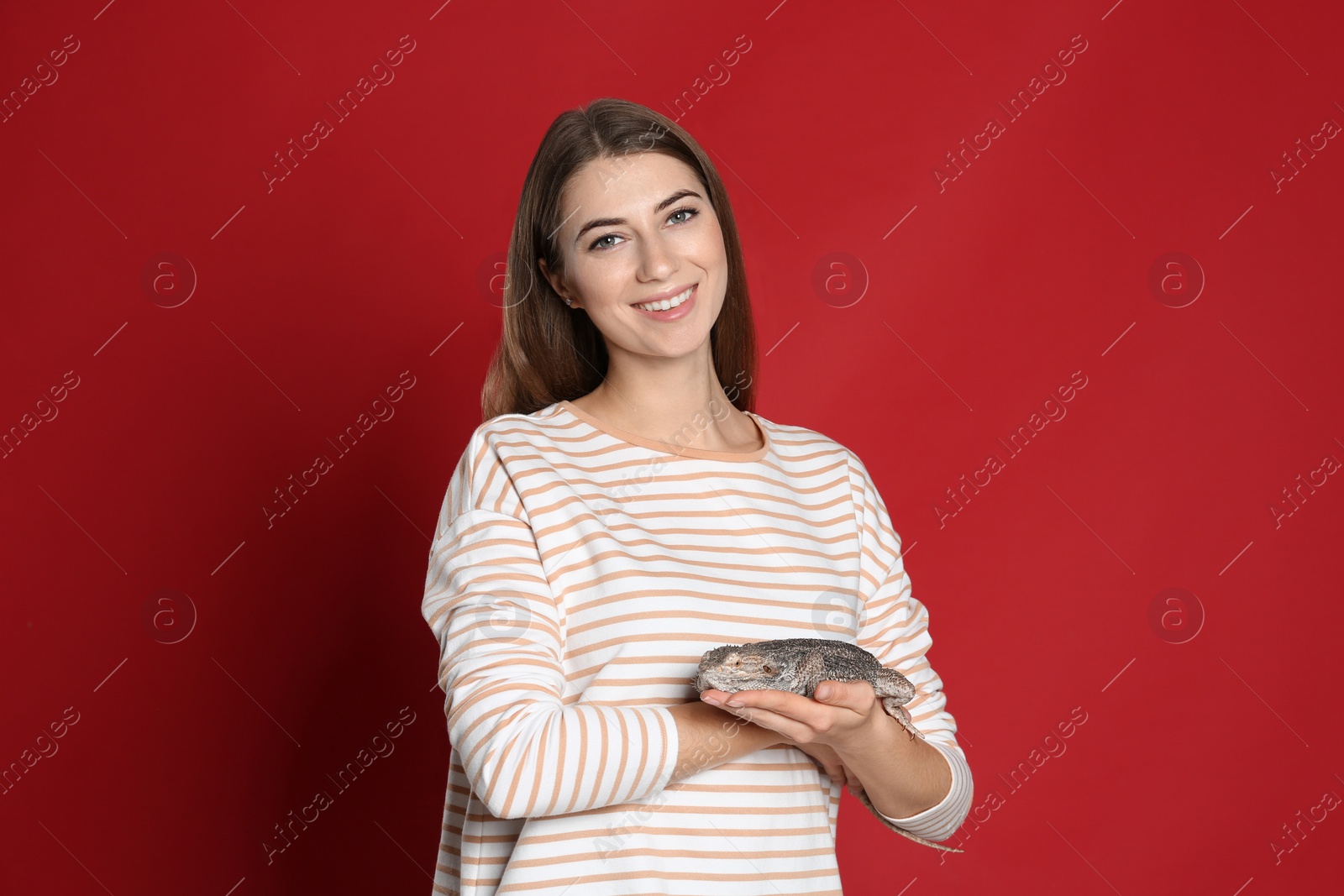 Photo of Woman holding bearded lizard on red background. Exotic pet