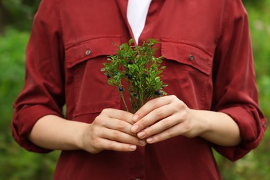 Photo of Woman holding branch with ripe bilberries outdoors, closeup