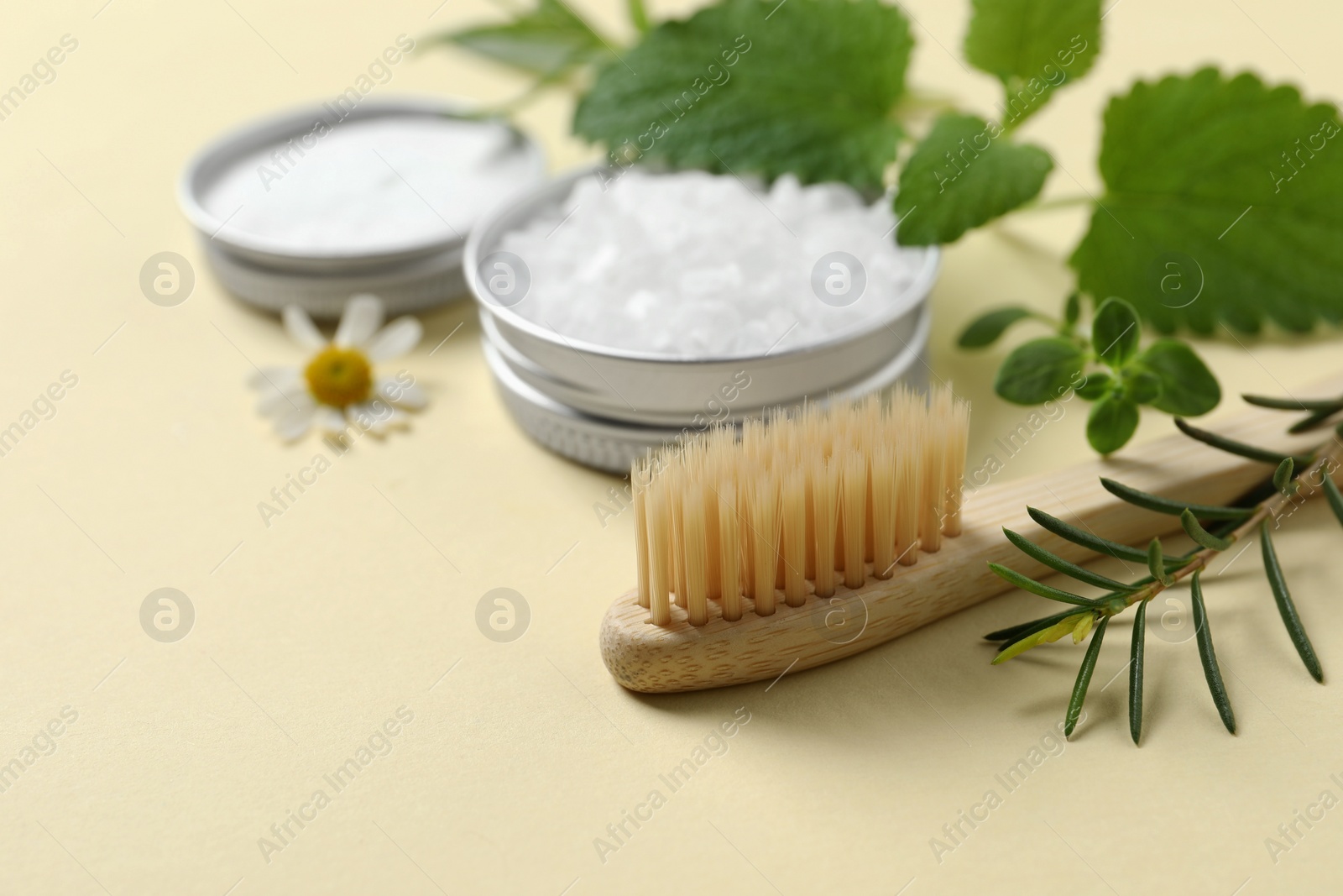 Photo of Bamboo toothbrush and herbs on beige background, closeup. Space for text