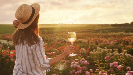 Woman with glass of wine in rose garden on sunny day. Space for text