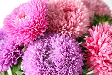 Beautiful bouquet of aster flowers, closeup view