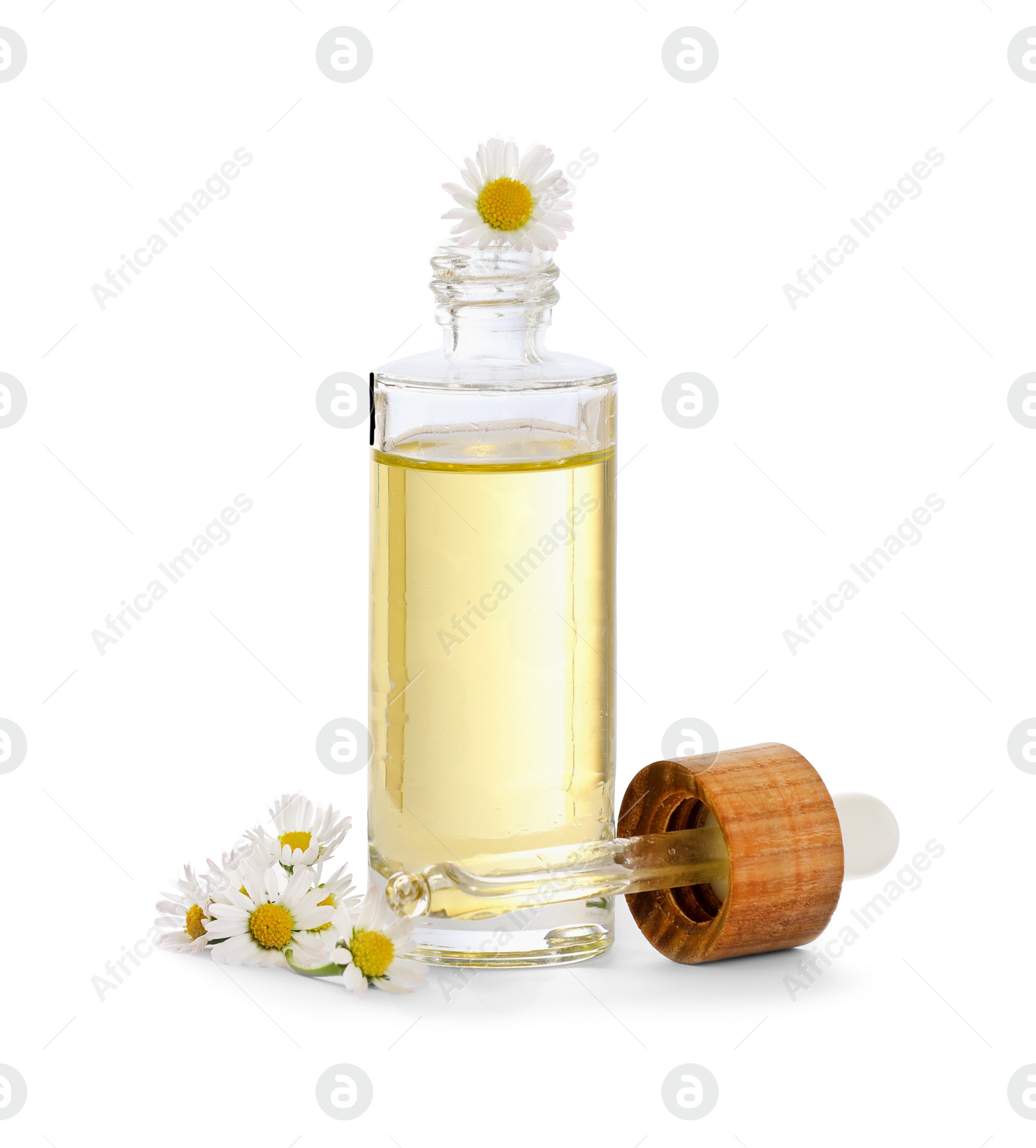 Photo of Bottle of chamomile essential oil and flowers on white background