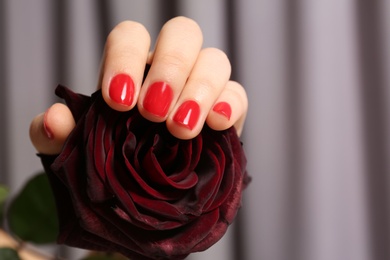 Photo of Woman with red manicure holding rose on blurred background, closeup. Nail polish trends