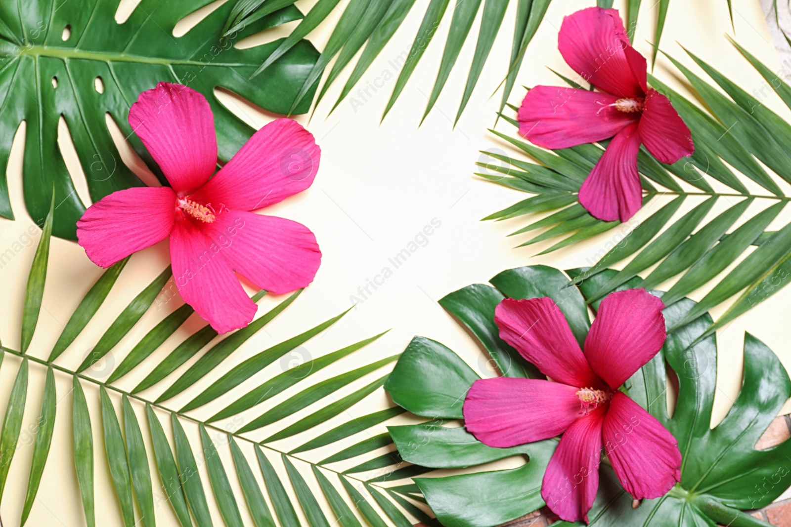 Photo of Flat lay composition with tropical leaves and Hibiscus flowers on beige background