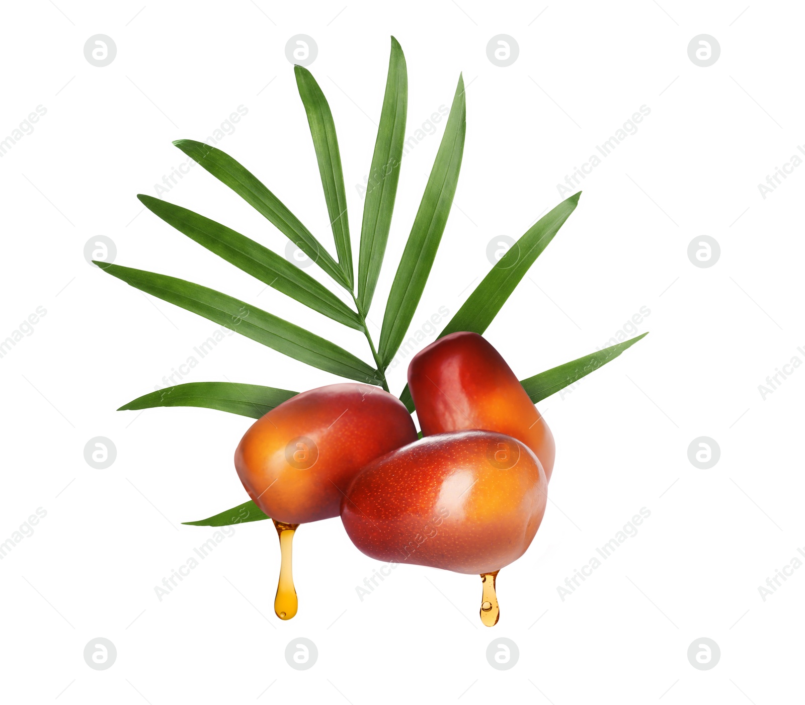 Image of Oil dripping from palm fruits on white background