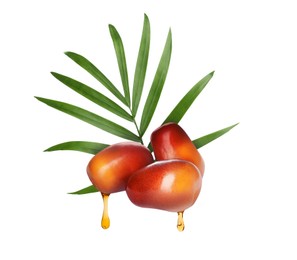 Image of Oil dripping from palm fruits on white background