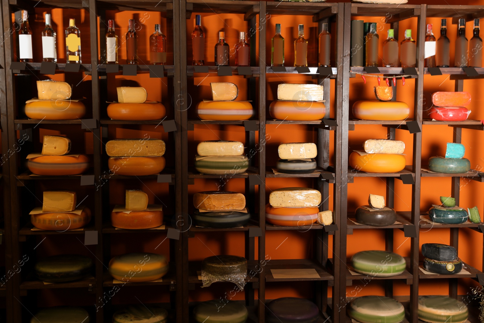 Photo of Different types of delicious cheeses and alcohol drinks on rack in store