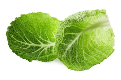 Fresh leaves of savoy cabbage on white background