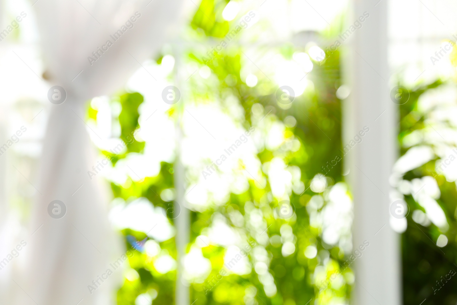 Photo of Blurred view through window on garden in morning