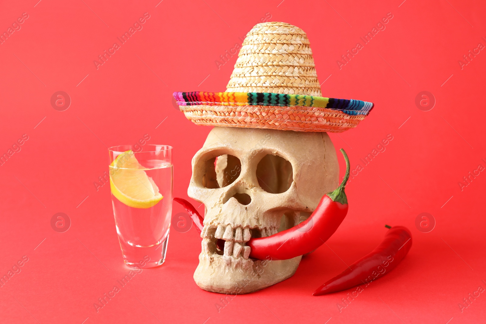 Photo of Human scull with Mexican sombrero hat, hot chili peppers and tequila on red background