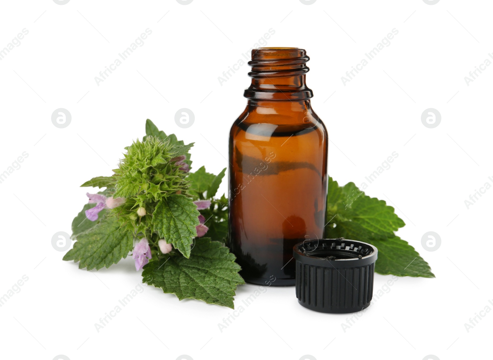 Photo of Glass bottle of nettle oil with leaves isolated on white