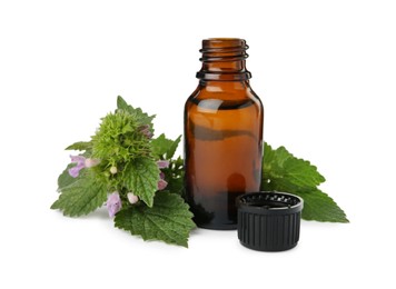 Glass bottle of nettle oil with leaves isolated on white