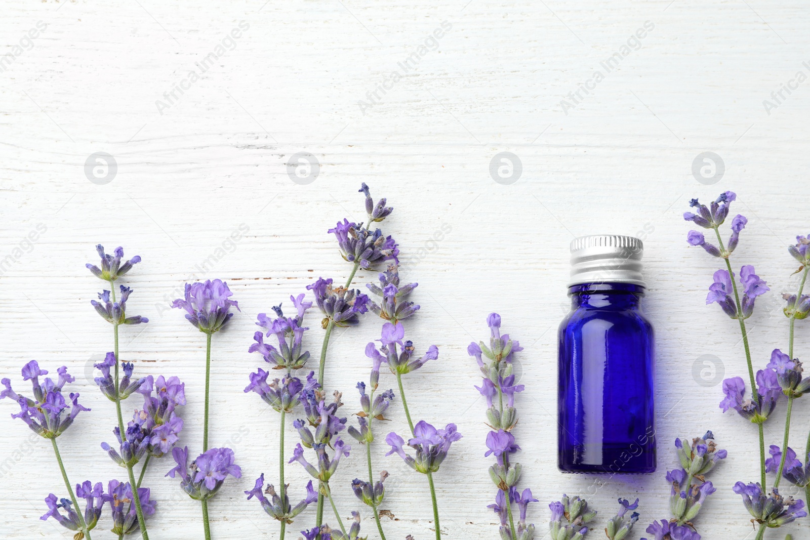 Photo of Bottle with natural essential oil and lavender flowers on white wooden background, flat lay. Space for text