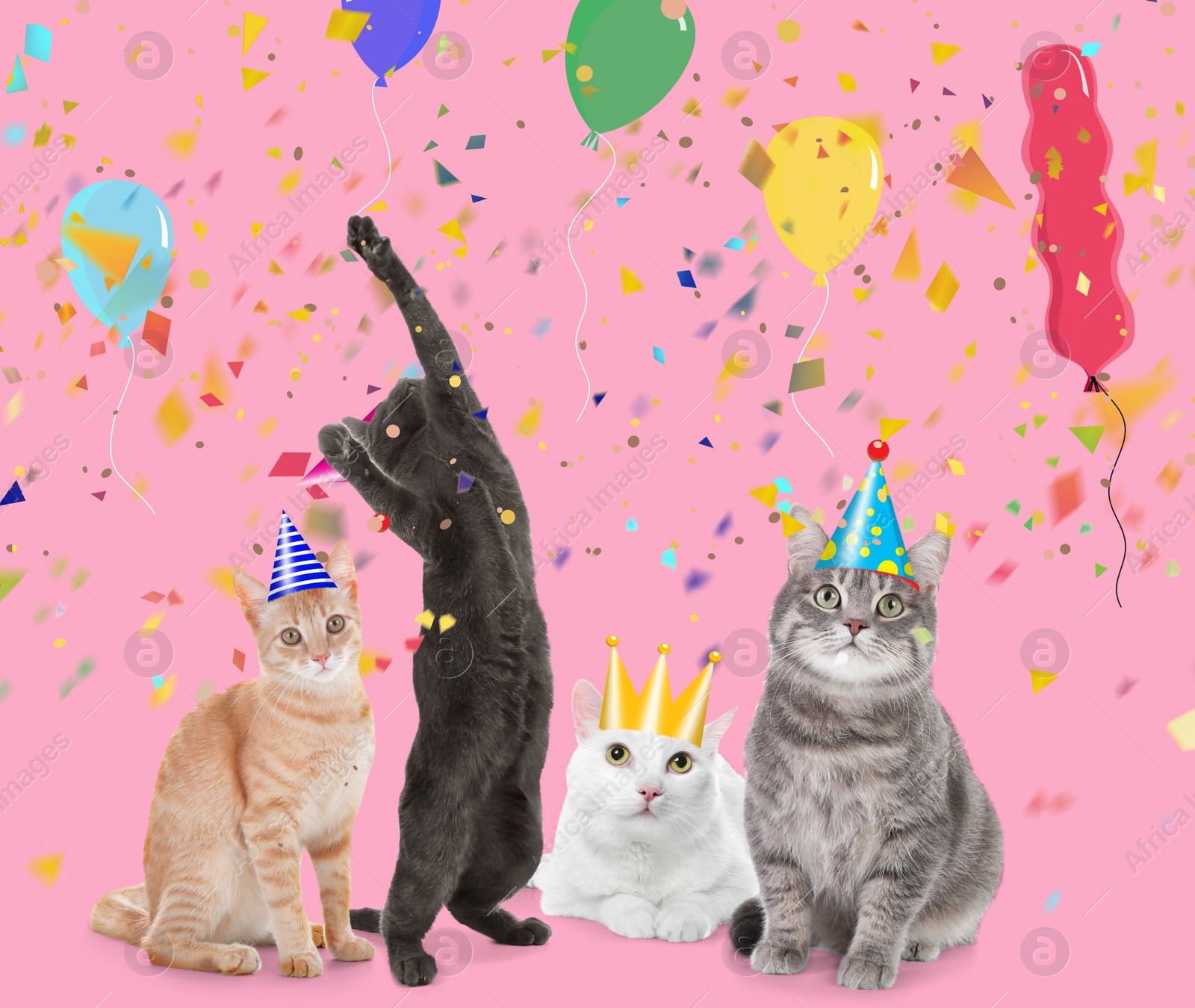 Image of Adorable cats with party hats on pink background