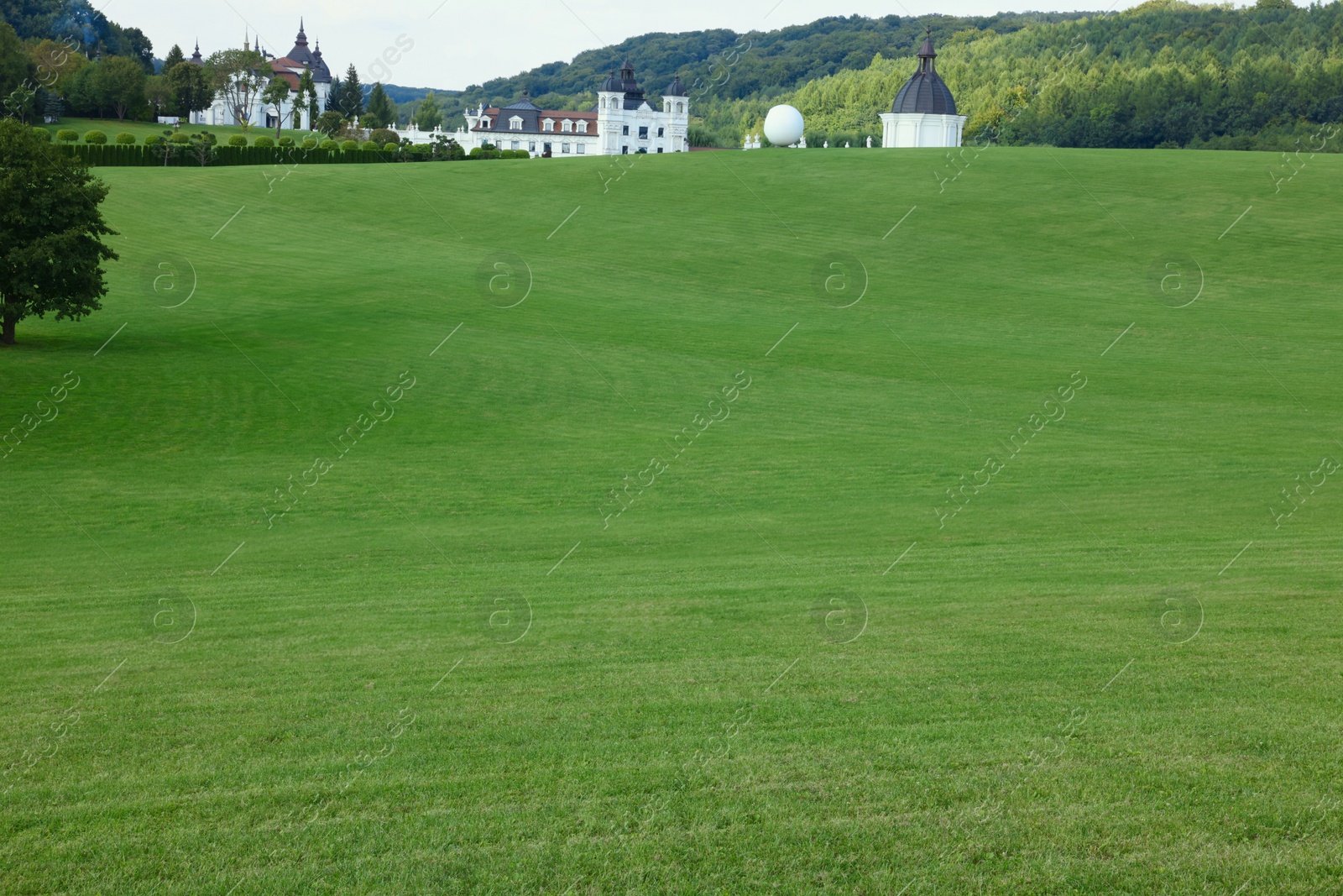 Photo of Beautiful view of lawn with green grass, buildings and trees outdoors