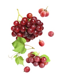 Fresh ripe grapes with green leaves falling on white background