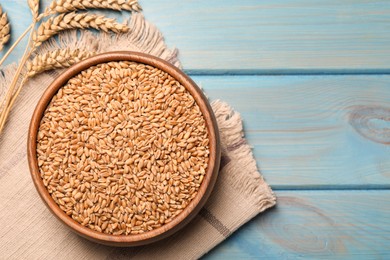 Photo of Wheat grains with spikelets on light blue wooden table, flat lay. Space for text