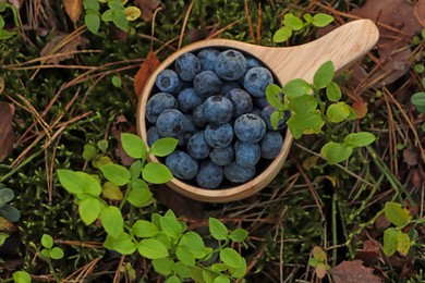 Photo of Wooden mug full of fresh ripe blueberries in grass, top view