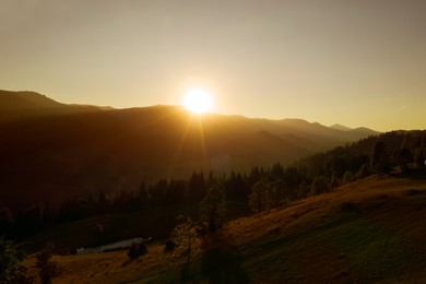 Image of Beautiful landscape with green hill and forest in mountains at sunset . Drone photography