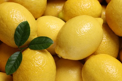 Fresh lemons and green leaves as background, closeup