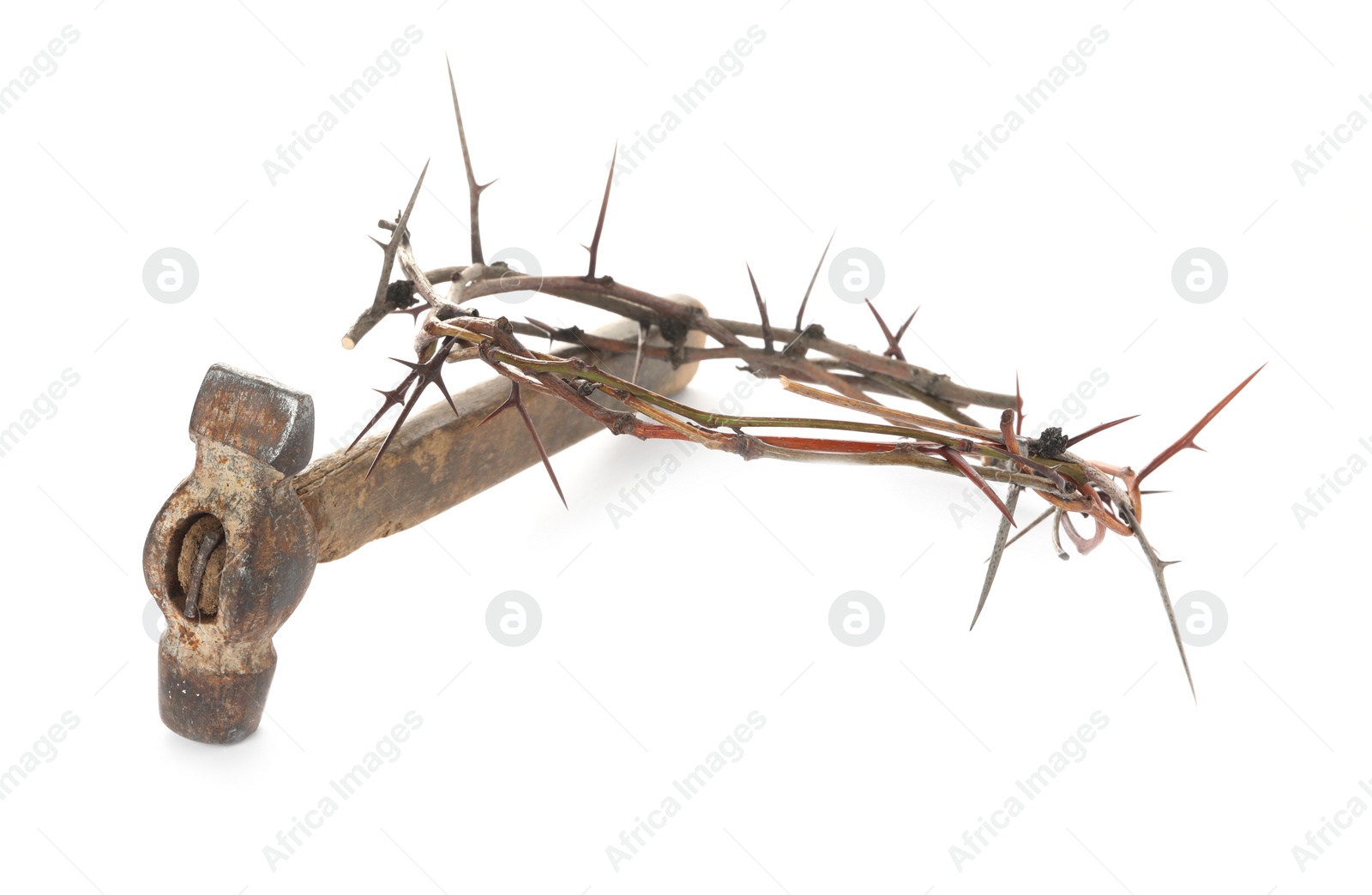 Photo of Crown of thorns and hammer on white background. Easter attributes