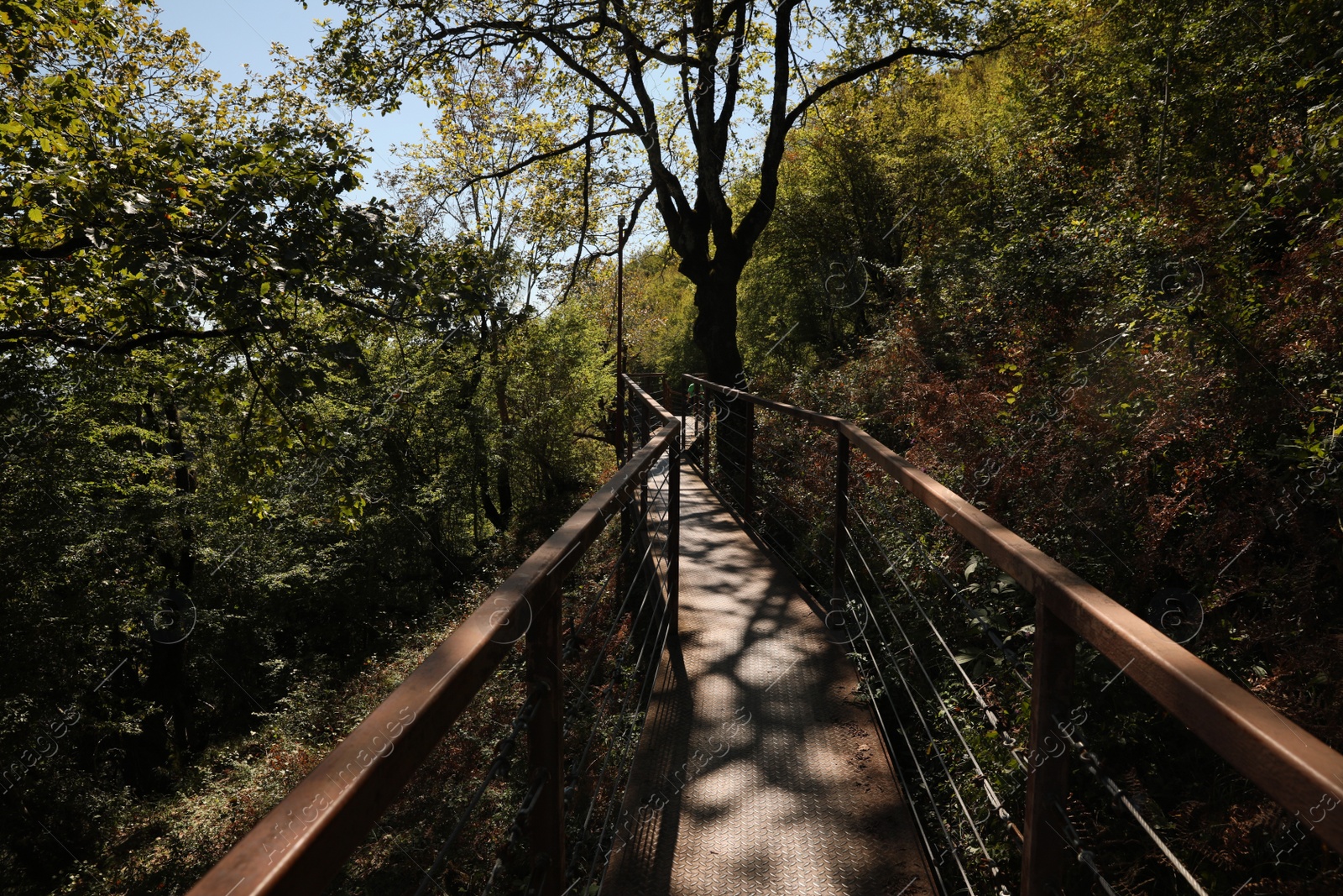 Photo of View of empty old stairs in park