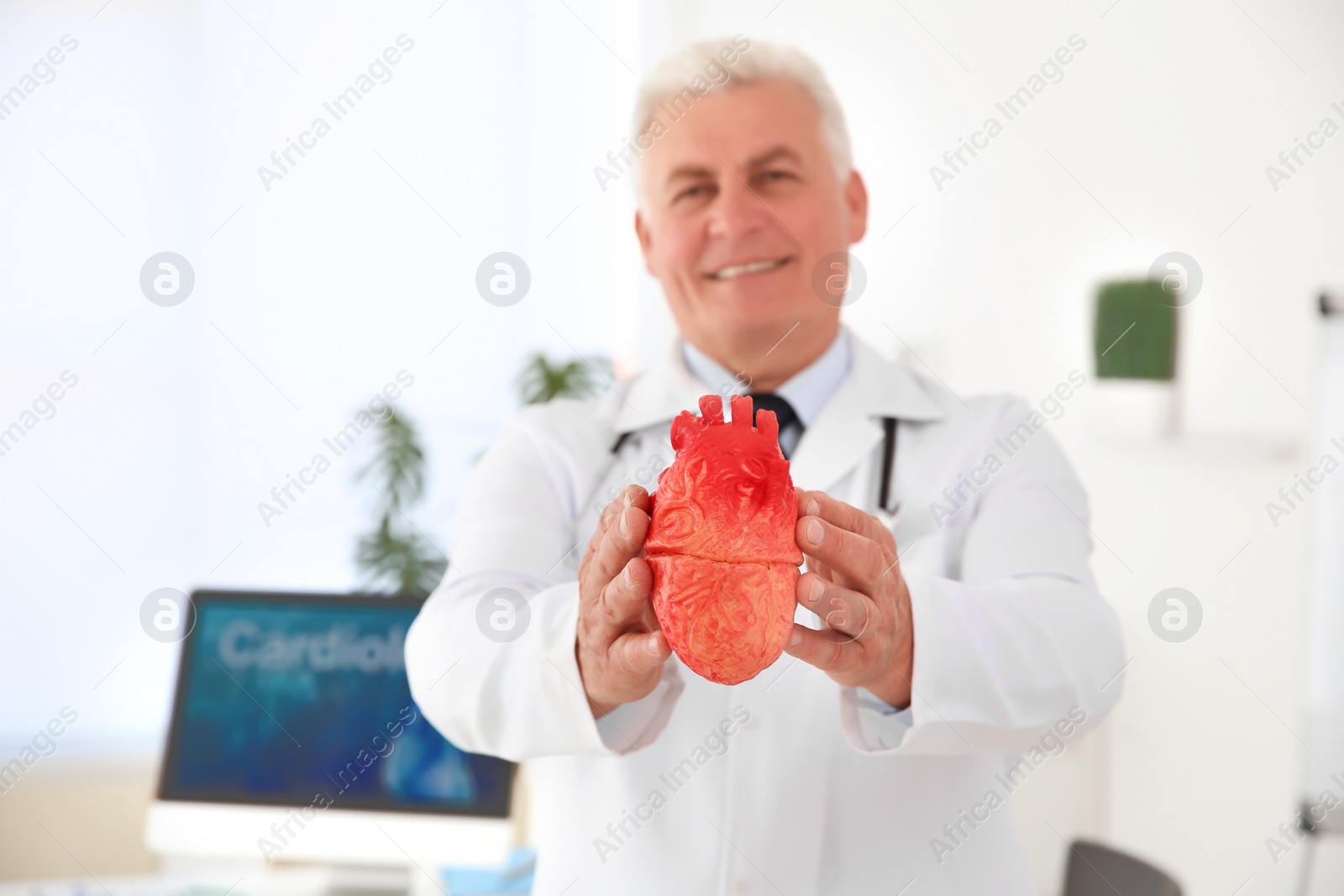 Photo of Male doctor holding heart model in clinic. Cardiology center