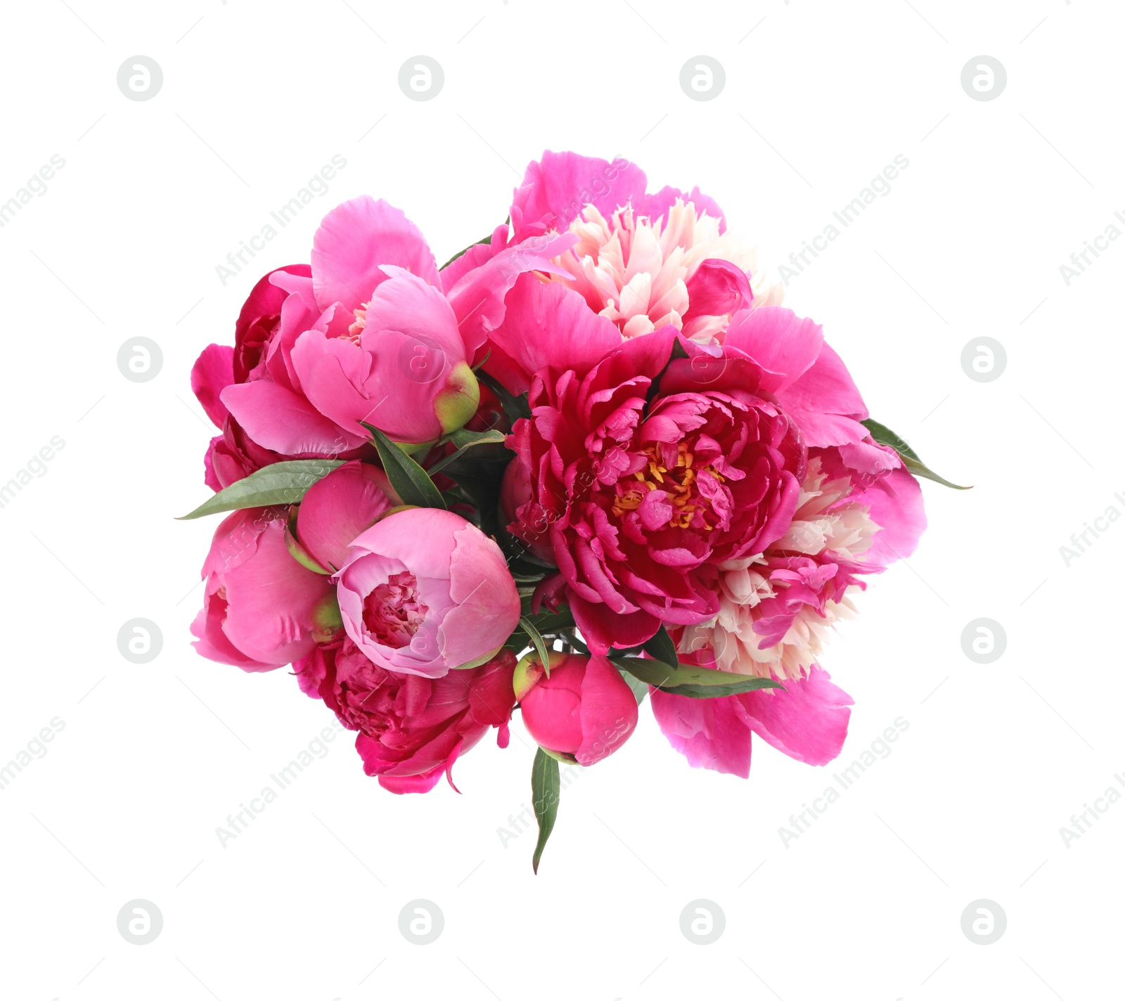 Photo of Bouquet of beautiful peonies on white background