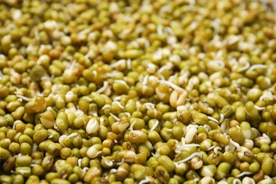 Photo of Fresh sprouted mung beans as background, closeup