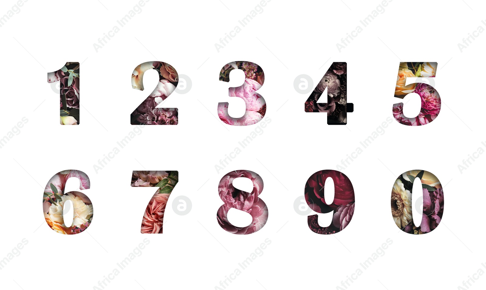 Image of Numbers made of flowers on white background