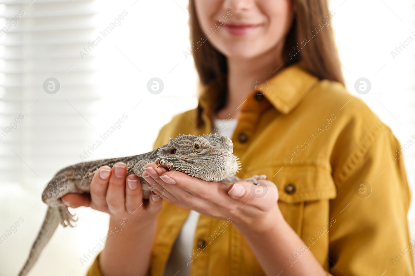 Photo of Young woman with bearded lizard at home, closeup. Exotic pet