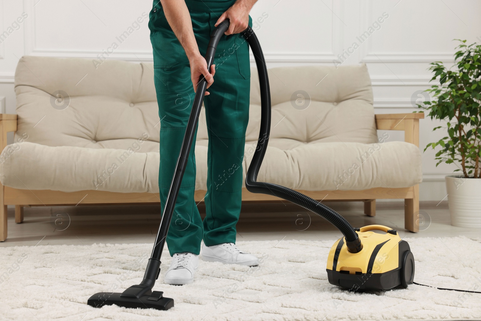 Photo of Dry cleaner's employee hoovering carpet with vacuum cleaner indoors, closeup