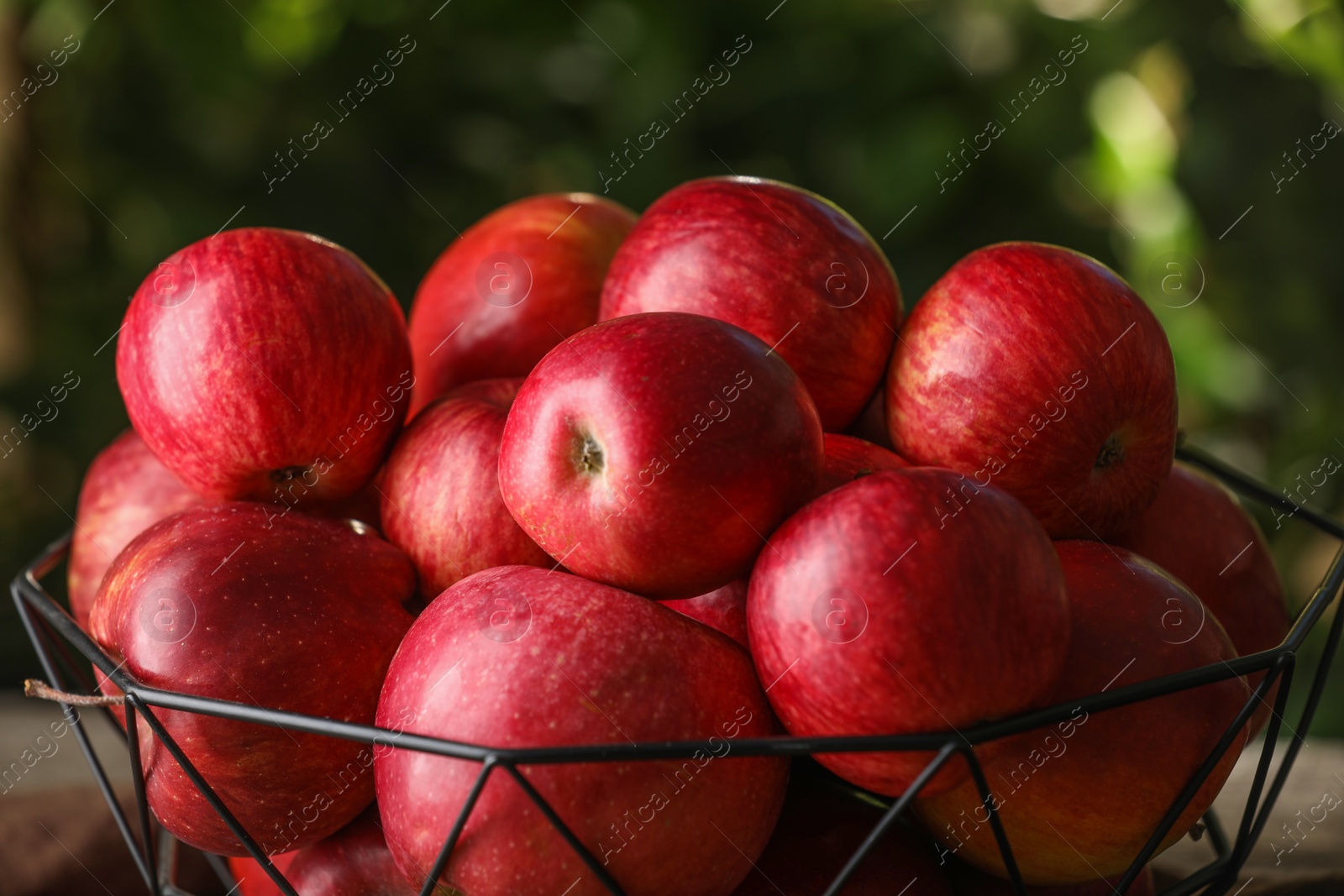 Photo of Ripe red apples in bowl on blurred background, closeup