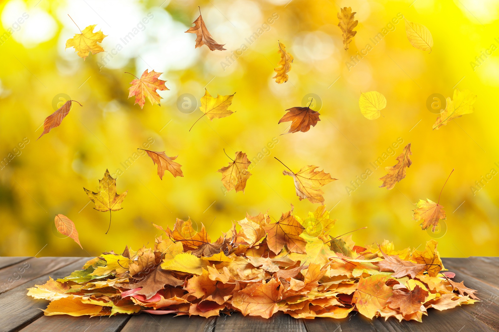 Image of Autumn leaves falling on wooden surface outdoors