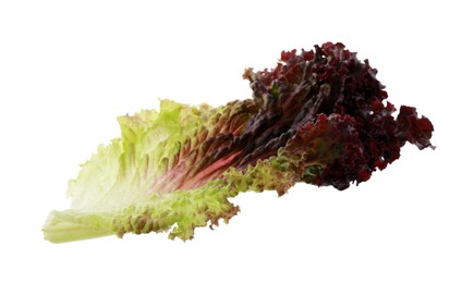 Photo of Leaf of fresh red coral lettuce isolated on white