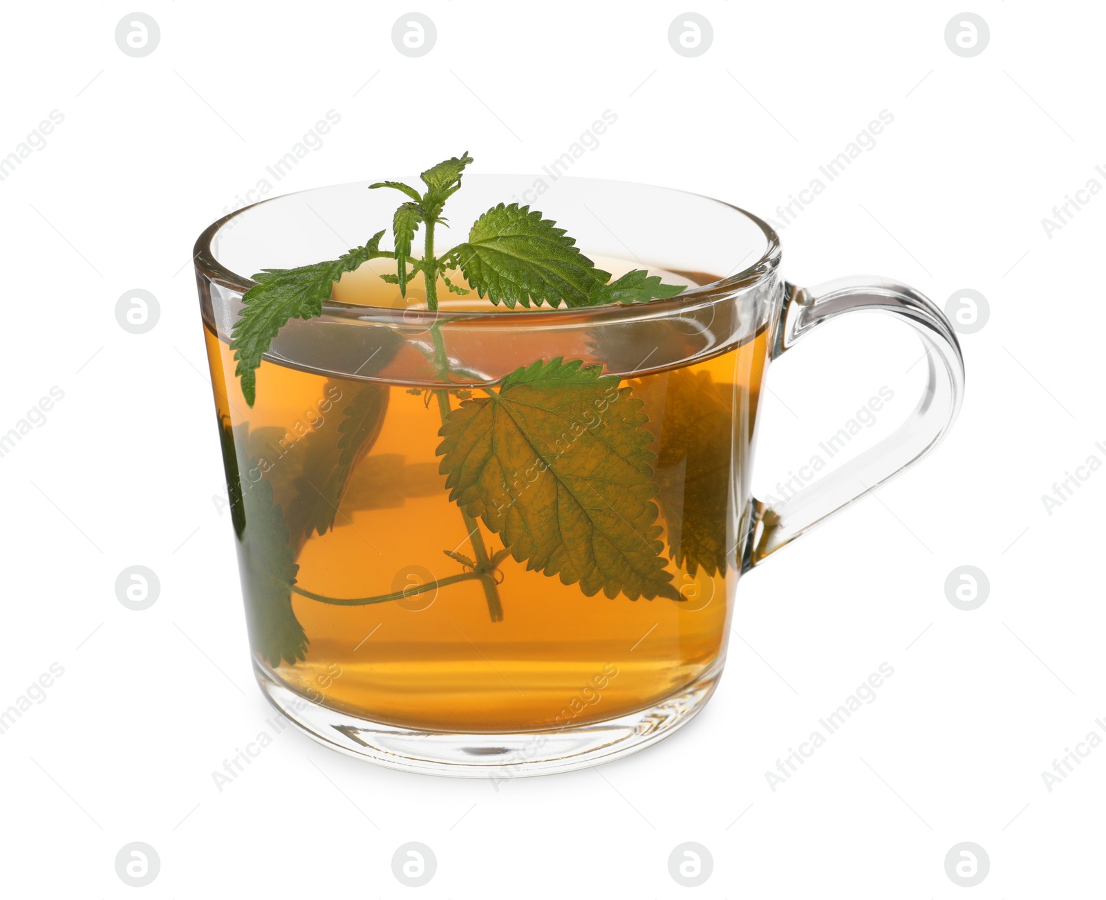 Photo of Glass cup of aromatic nettle tea on white background