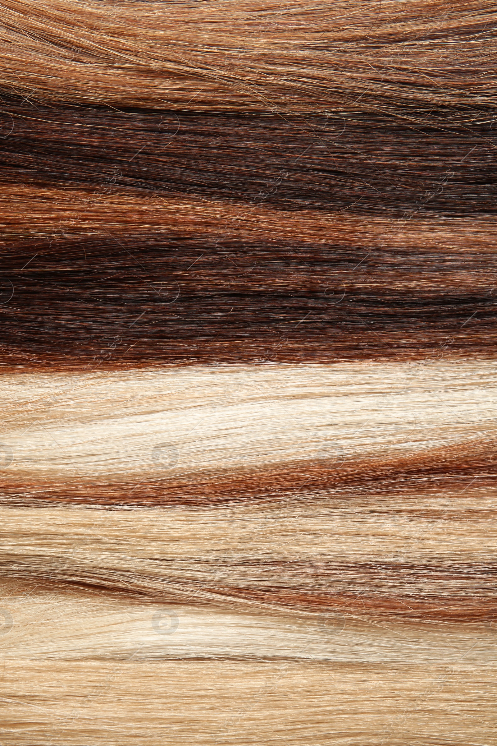 Photo of Strands of different color hair as background, closeup