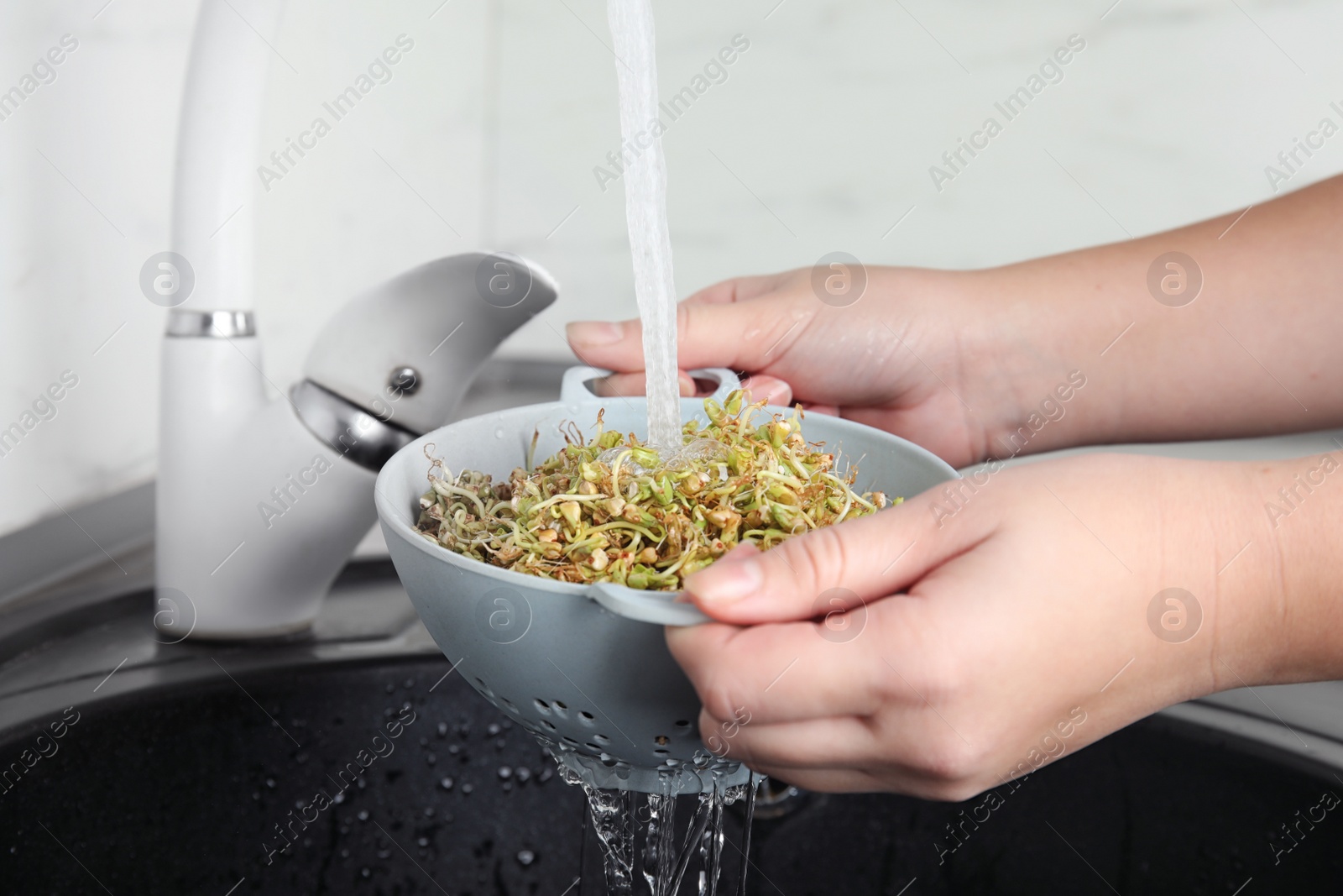 Photo of Woman washing sprouted green buckwheat over sink, closeup