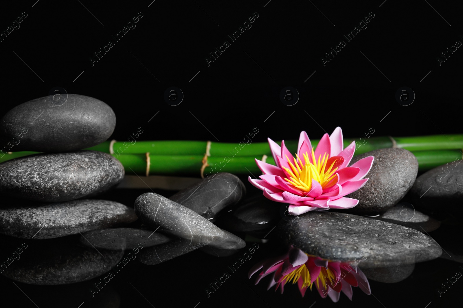 Photo of Beautiful zen garden with lotus flower and pond on black background. Space for text