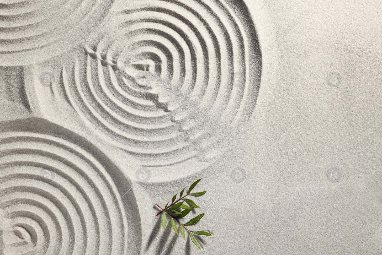 Photo of Beautiful spirals and branches on sand, top view with space for text. Zen garden