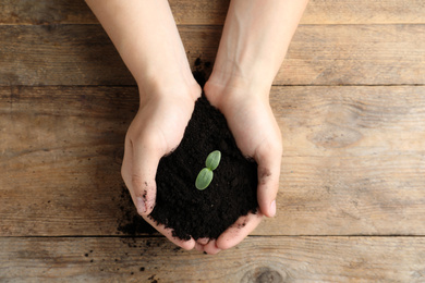 Photo of Woman holding soil with seedling at wooden table, top view