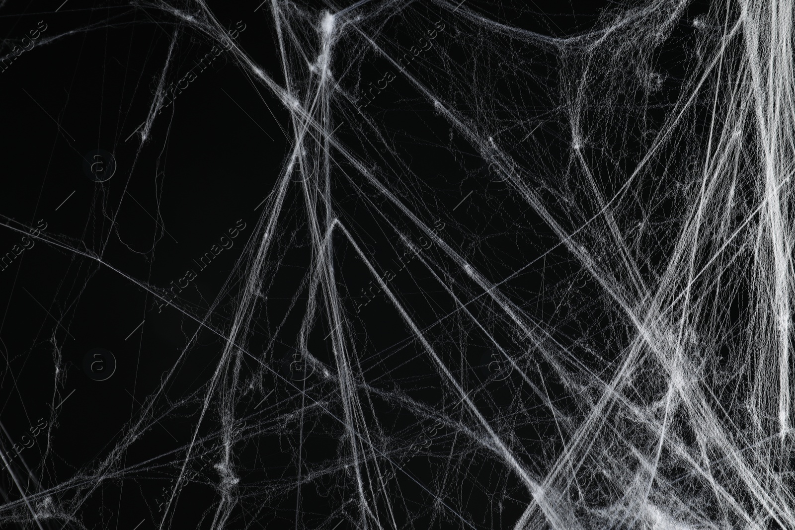 Photo of Creepy white spider web on black background